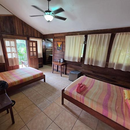 Perla Negra Beachfront Puerto Viejo de Talamanca Εξωτερικό φωτογραφία