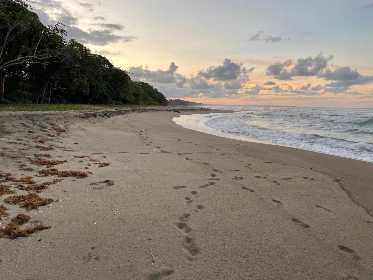 Perla Negra Beachfront Puerto Viejo de Talamanca Εξωτερικό φωτογραφία