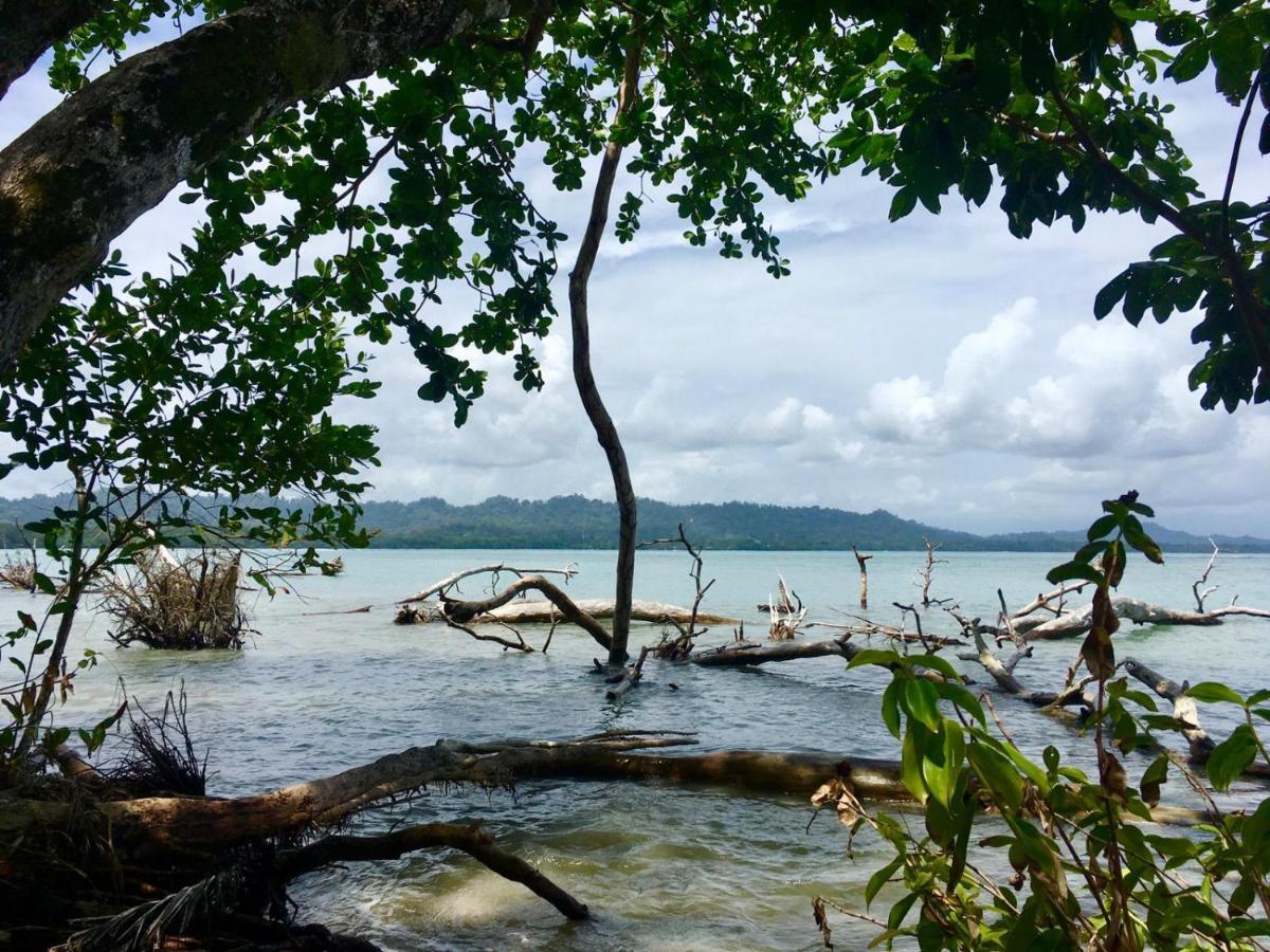Perla Negra Beachfront Puerto Viejo de Talamanca Εξωτερικό φωτογραφία