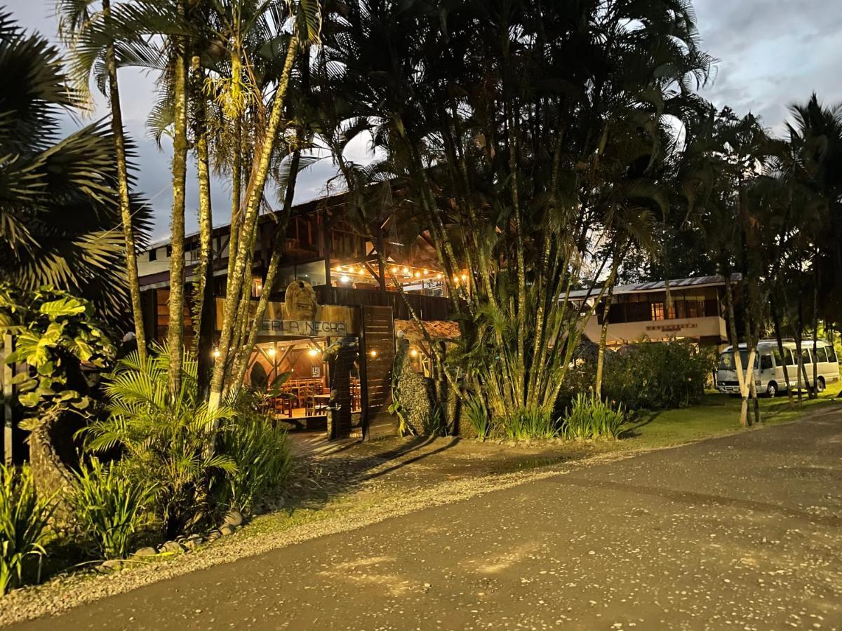 Perla Negra Beachfront Puerto Viejo de Talamanca Εξωτερικό φωτογραφία