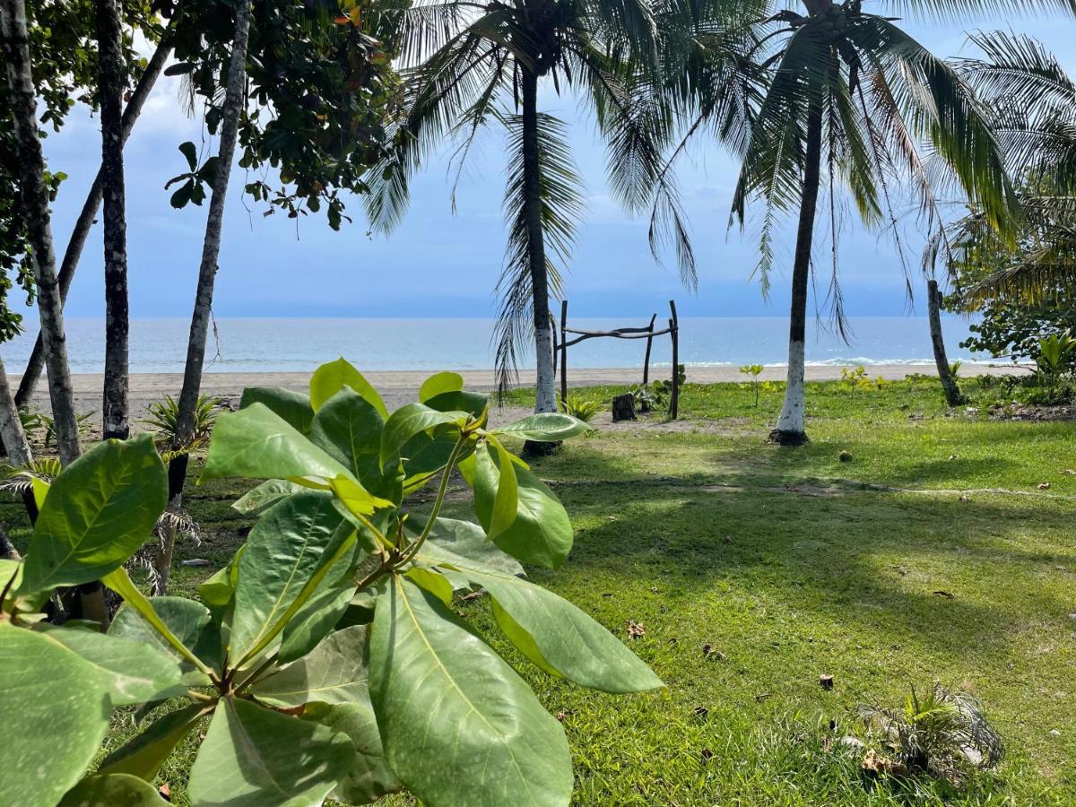 Perla Negra Beachfront Puerto Viejo de Talamanca Εξωτερικό φωτογραφία