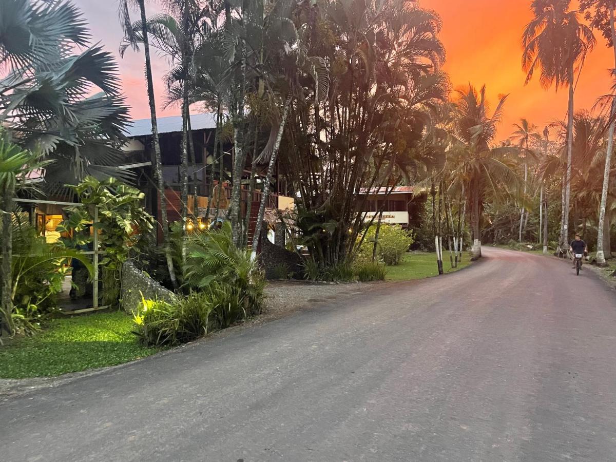 Perla Negra Beachfront Puerto Viejo de Talamanca Εξωτερικό φωτογραφία