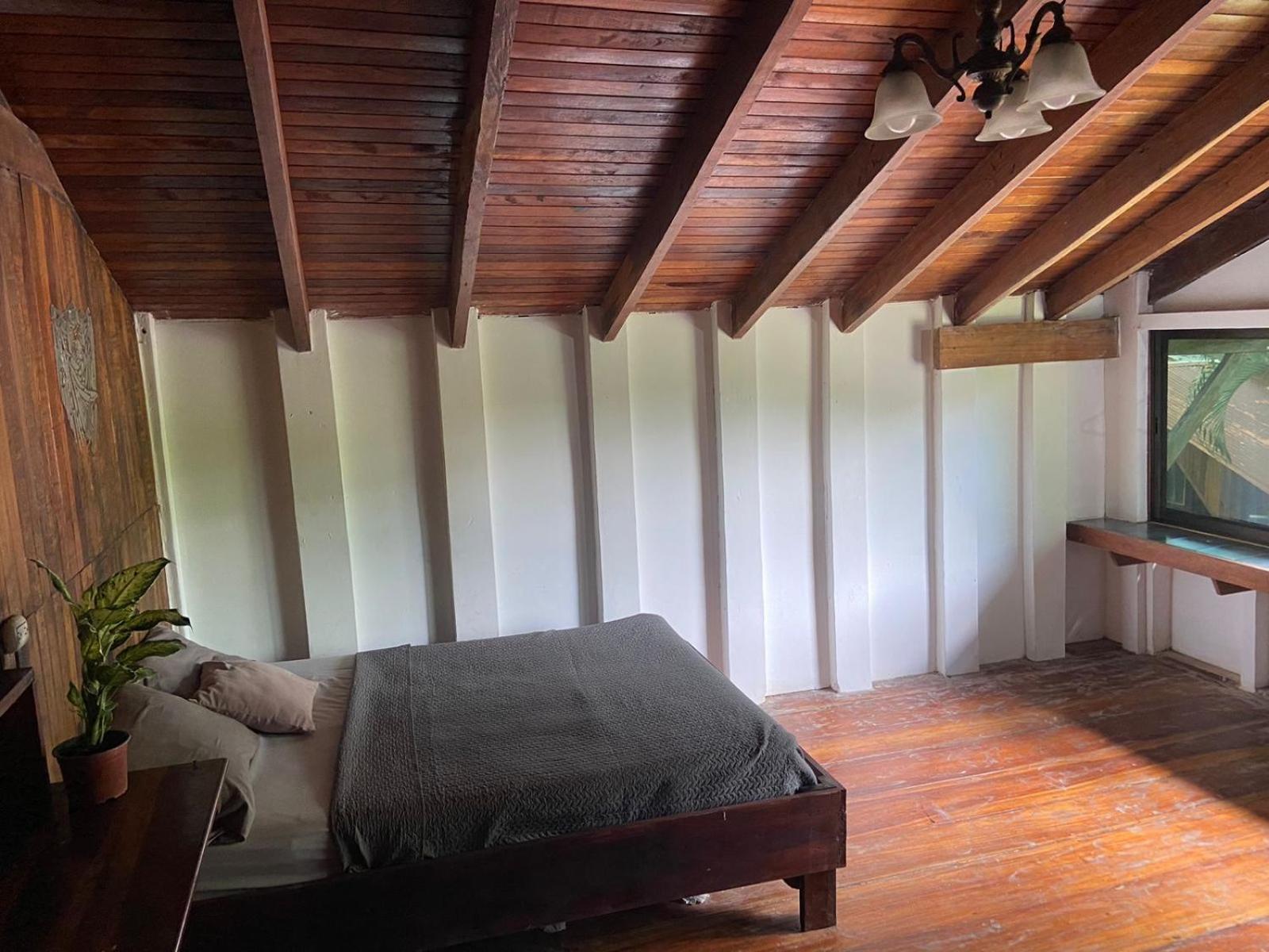 Perla Negra Beachfront Puerto Viejo de Talamanca Εξωτερικό φωτογραφία