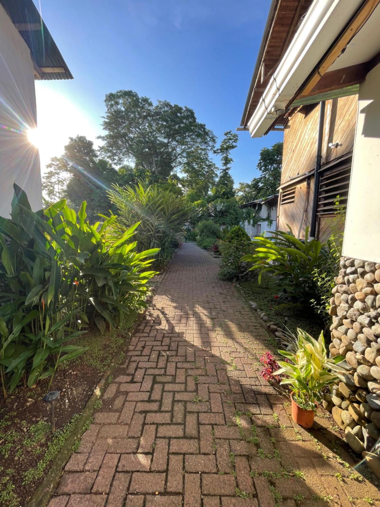 Perla Negra Beachfront Puerto Viejo de Talamanca Εξωτερικό φωτογραφία