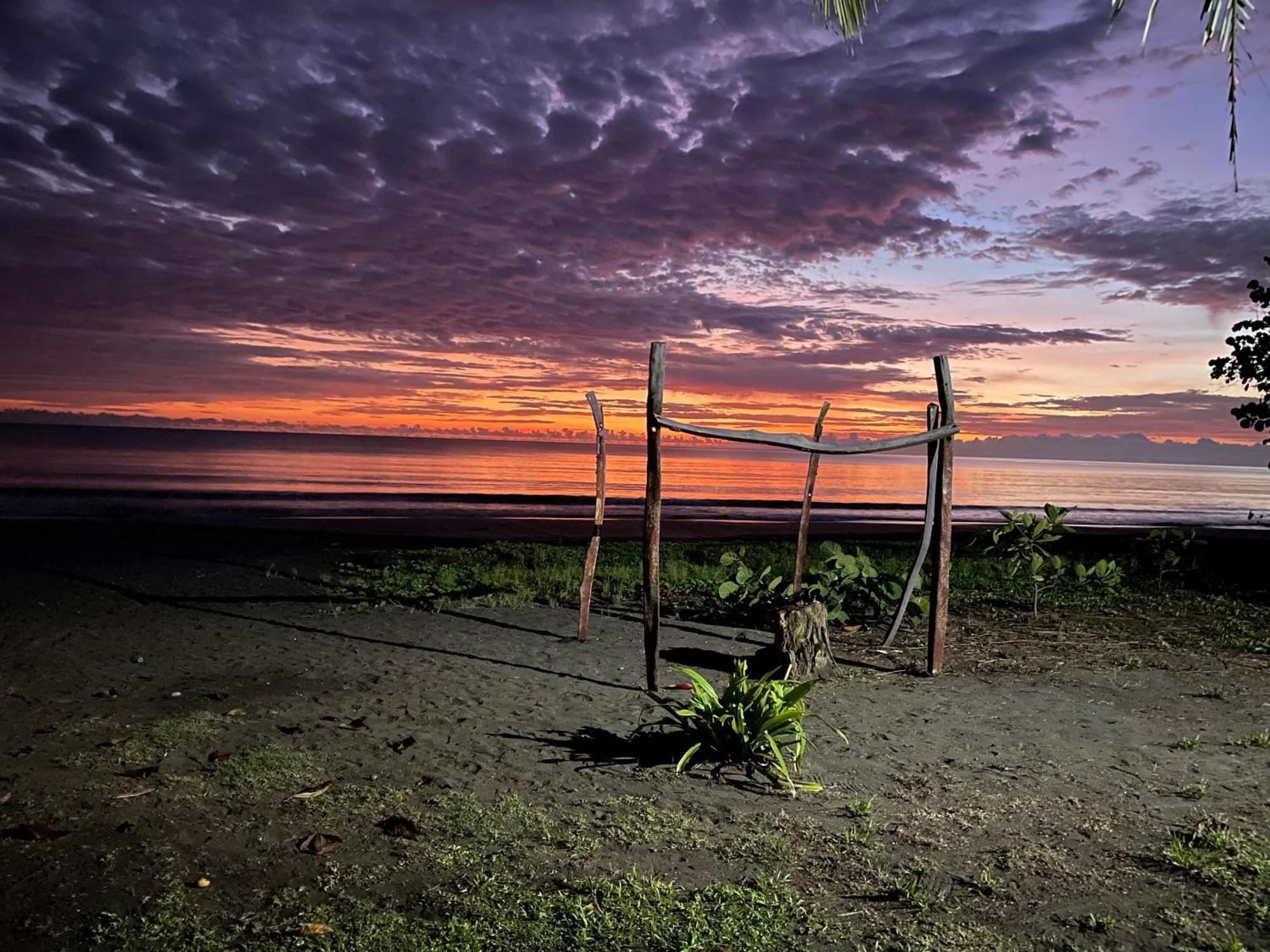 Perla Negra Beachfront Puerto Viejo de Talamanca Εξωτερικό φωτογραφία