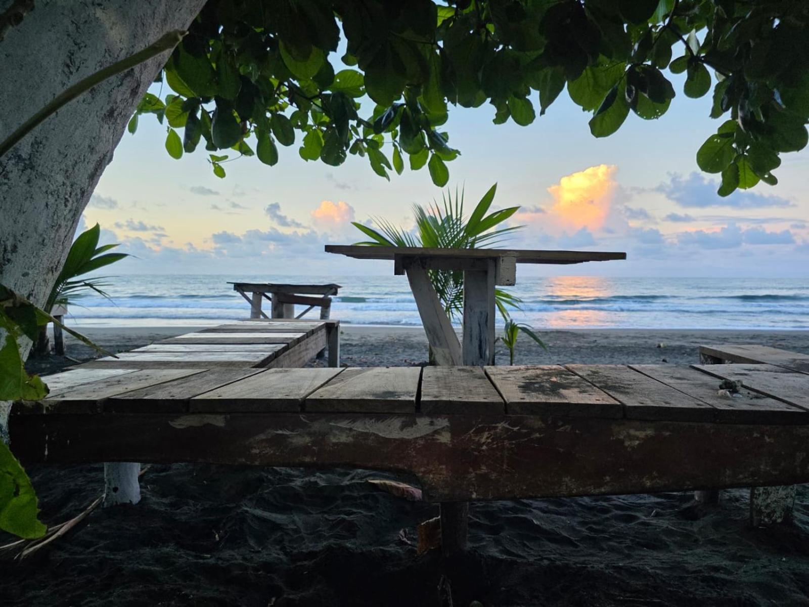 Perla Negra Beachfront Puerto Viejo de Talamanca Εξωτερικό φωτογραφία